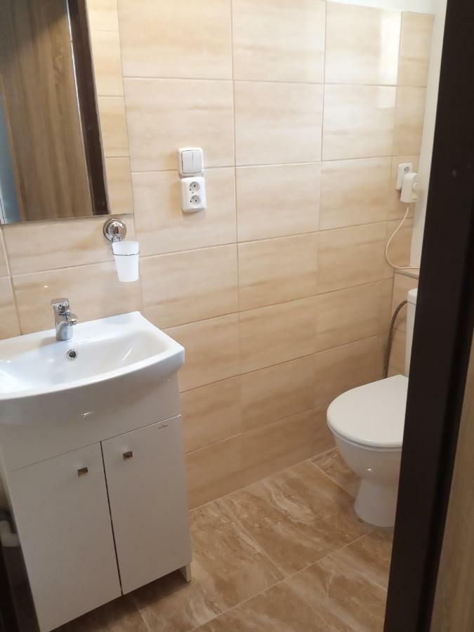 Apartment Pod Hradem Loket Luaran gambar